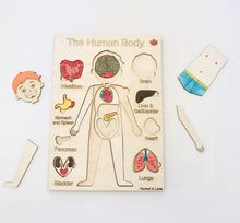 Load image into Gallery viewer, Human Body Internal Organs Wooden Puzzle