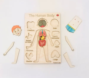 Human Body Internal Organs Wooden Puzzle